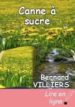 Canne à sucre