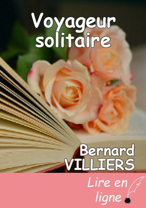 Voyageur solitaire