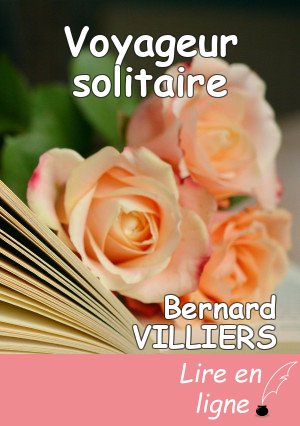 Voyageur solitaire