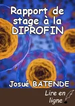 Rapport de stage à la DIPROFIN