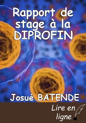 Rapport de stage à la DIPROFIN