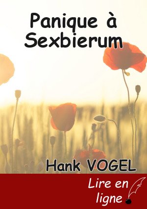 Panique à Sexbierum