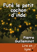 Futé le petit cochon d'inde