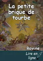 La petite brique de tourbe