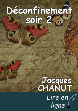 Déconfinement soir 2