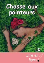 Chasse aux pointeurs