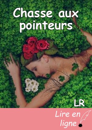 Chasse aux pointeurs