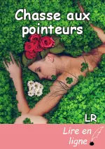 Chasse aux pointeurs