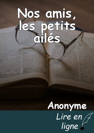Nos amis, les petits ailés