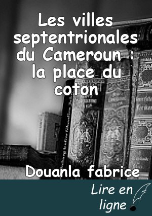Les villes septentrionales du Cameroun : la place du coton