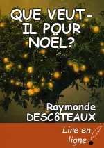 QUE VEUT- IL POUR NOËL?