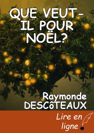 QUE VEUT- IL POUR NOËL?