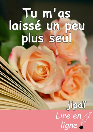 Tu m'as laissé un peu plus seul