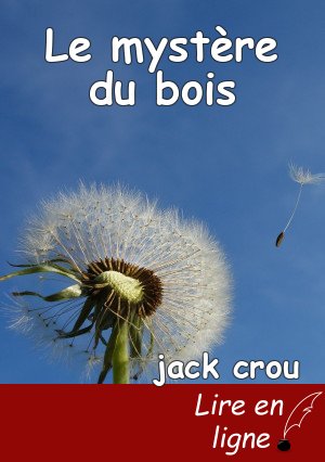 Le mystère du bois