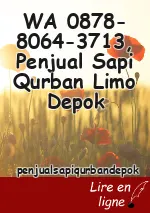 WA 0878-8064-3713, Penjual Sapi Qurban Limo Depok