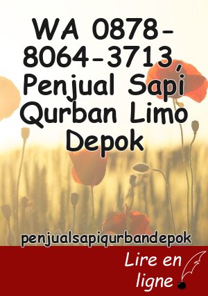 WA 0878-8064-3713, Penjual Sapi Qurban Limo Depok