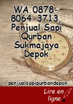 WA 0878-8064-3713, Penjual Sapi Qurban Sukmajaya Depok