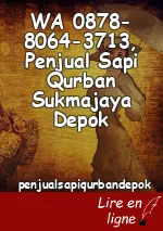 WA 0878-8064-3713, Penjual Sapi Qurban Sukmajaya Depok