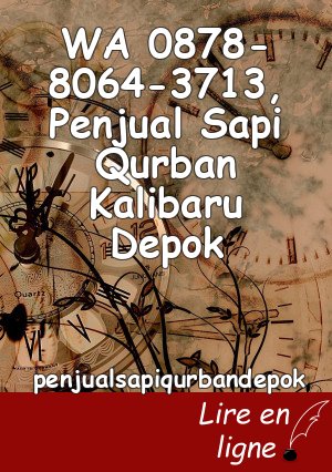 WA 0878-8064-3713, Penjual Sapi Qurban Kalibaru Depok