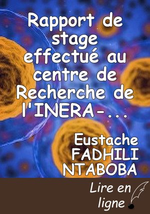 Rapport de stage effectué au centre de Recherche de l'INERA-Mulungu