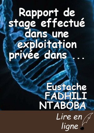 Rapport de stage effectué dans une exploitation privée dans le territoire de Walungu