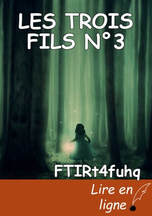LES TROIS FILS N°3