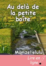 Au delà de la petite boîte