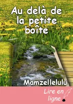 Au delà de la petite boîte