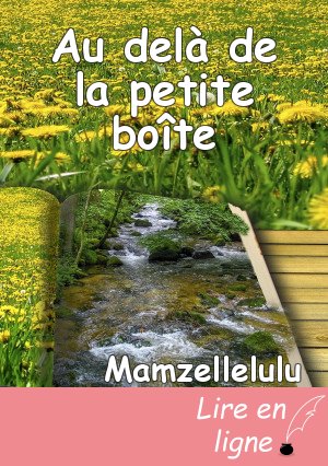Au delà de la petite boîte