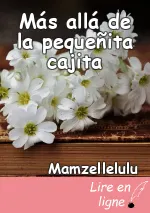 Más allá de la pequeñita cajita