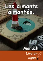 Les aimants aimantés.