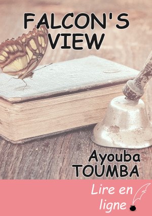 FALCON'S VIEW