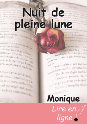 Nuit de pleine lune