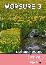 MORSURE 3