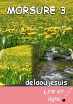 MORSURE 3
