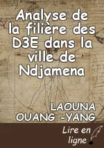 Analyse de la filière des D3E dans la ville de Ndjamena