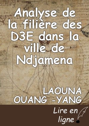 Analyse de la filière des D3E dans la ville de Ndjamena