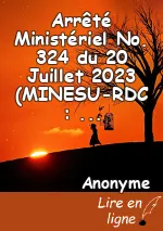 Arrêté Ministériel No. 324 du 20 Juillet 2023 (MINESU-RDC : Professeur associé YENDE RAPHAEL GREVISSE)