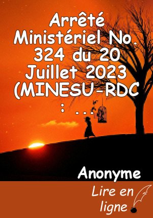 Arrêté Ministériel No. 324 du 20 Juillet 2023 (MINESU-RDC : Professeur associé YENDE RAPHAEL GREVISSE)