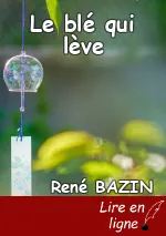 Le blé qui lève
