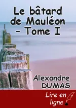 Le bâtard de Mauléon – Tome I