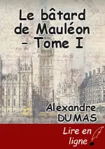 Le bâtard de Mauléon – Tome I