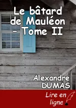 Le bâtard de Mauléon – Tome II