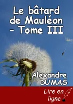 Le bâtard de Mauléon – Tome III