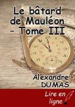 Le bâtard de Mauléon – Tome III