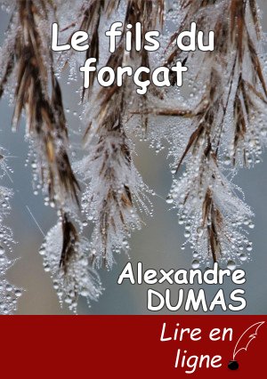 Le fils du forçat