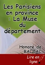 Les Parisiens en province : La Muse du département